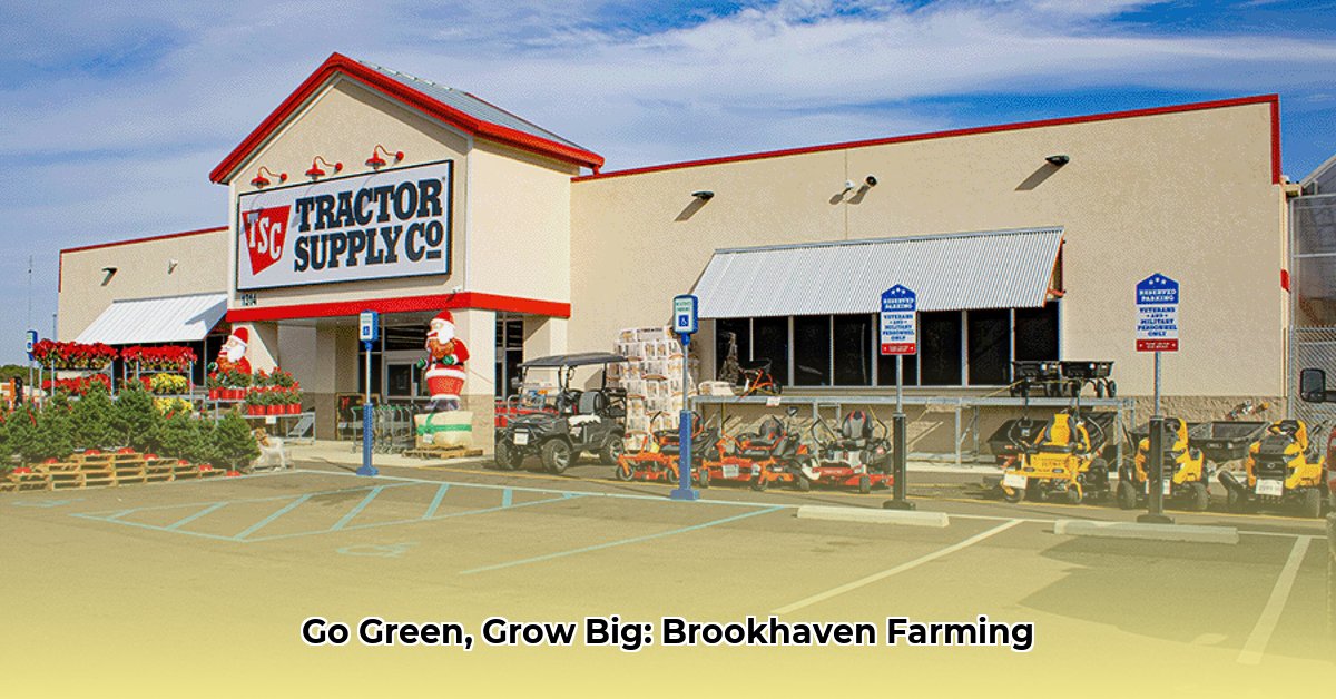 tractor-supply-brookhaven-mississippi